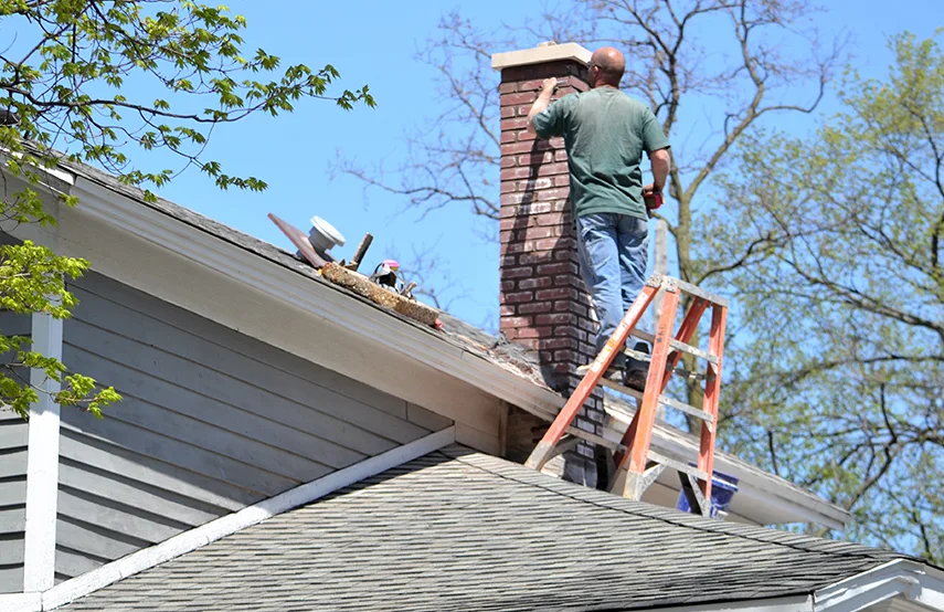 Chimney & Fireplace Inspections Services in Evans, CO